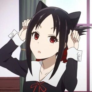 Meet your Posher, Evelyn